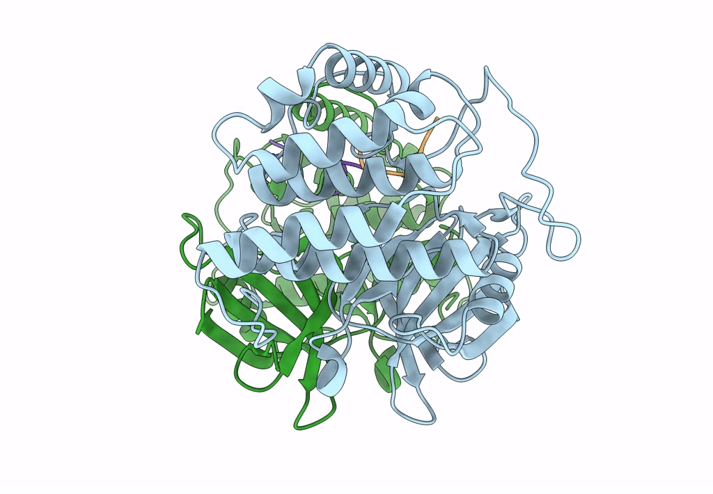 8D7P image