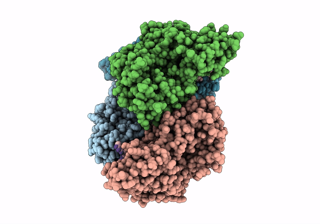 8D9J image