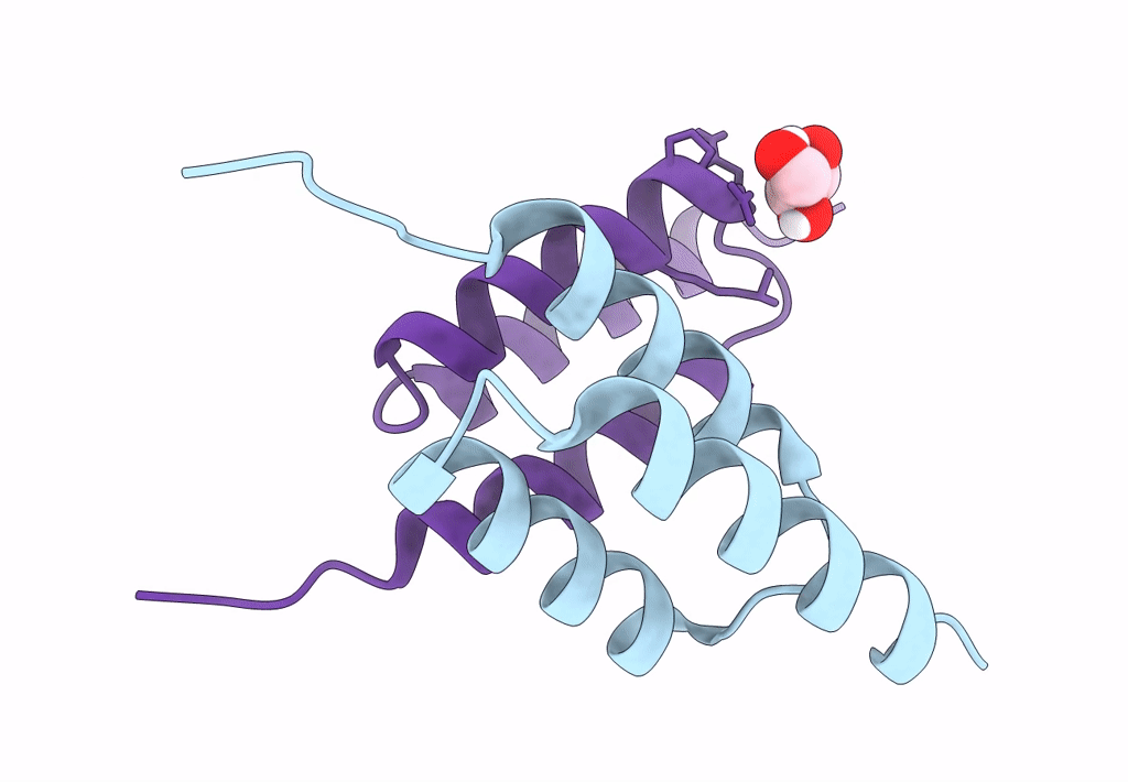 8DAC image