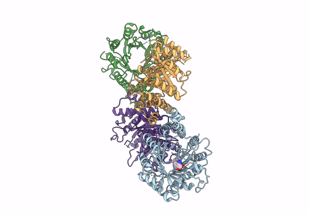 8DB1 image