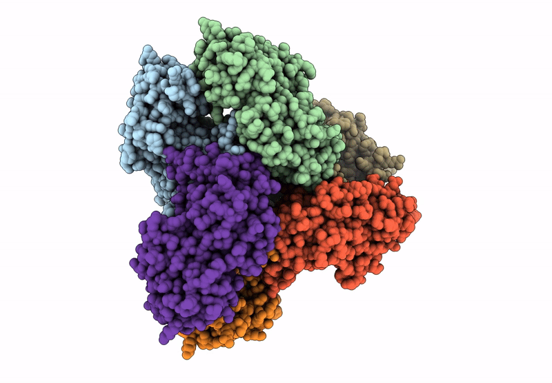 8DBC image