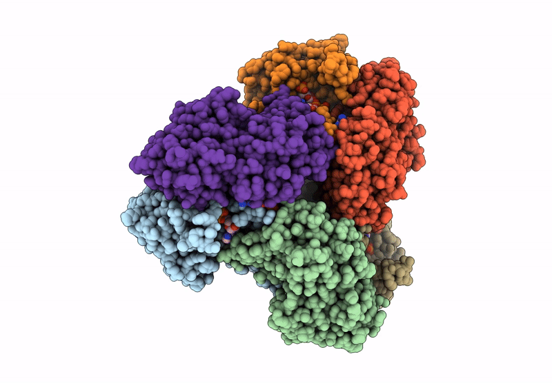 8DBE image