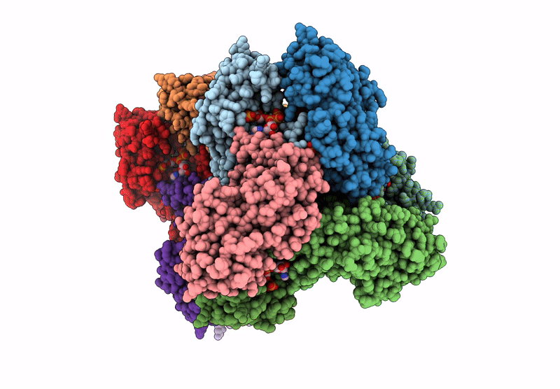 8DBJ image
