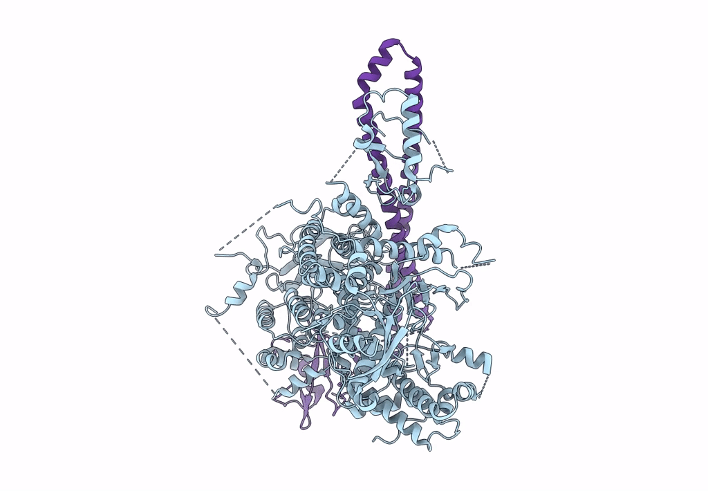 8DCX image