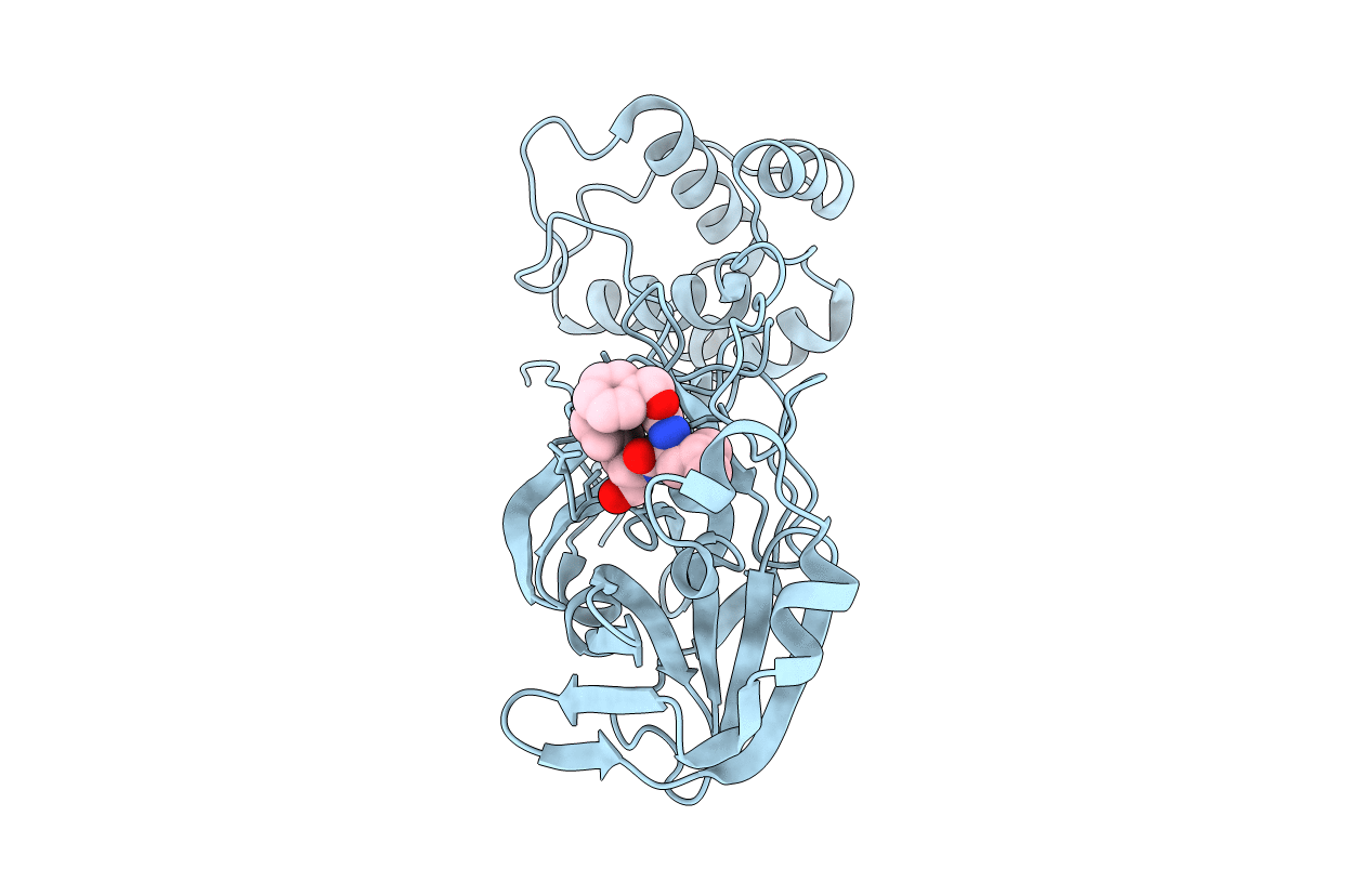 8DD1 image