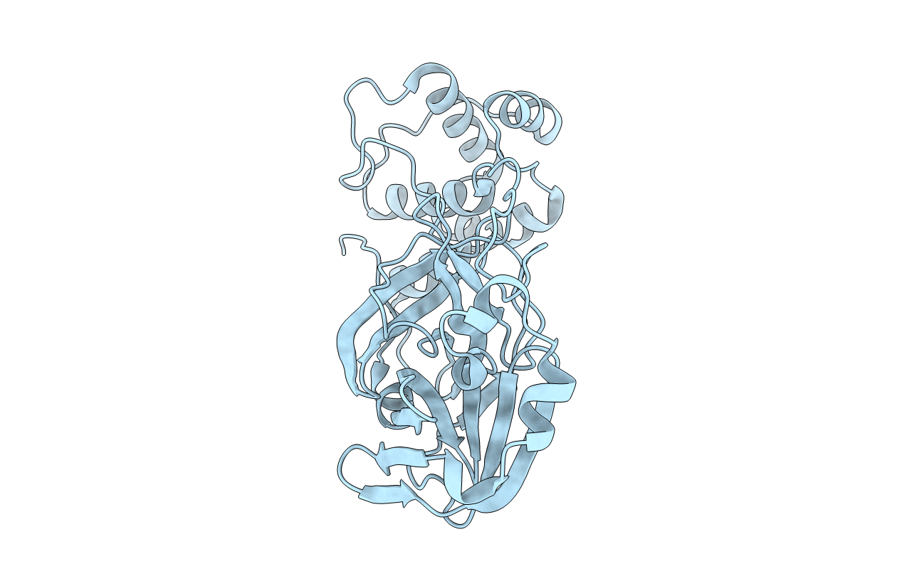 8DDI image