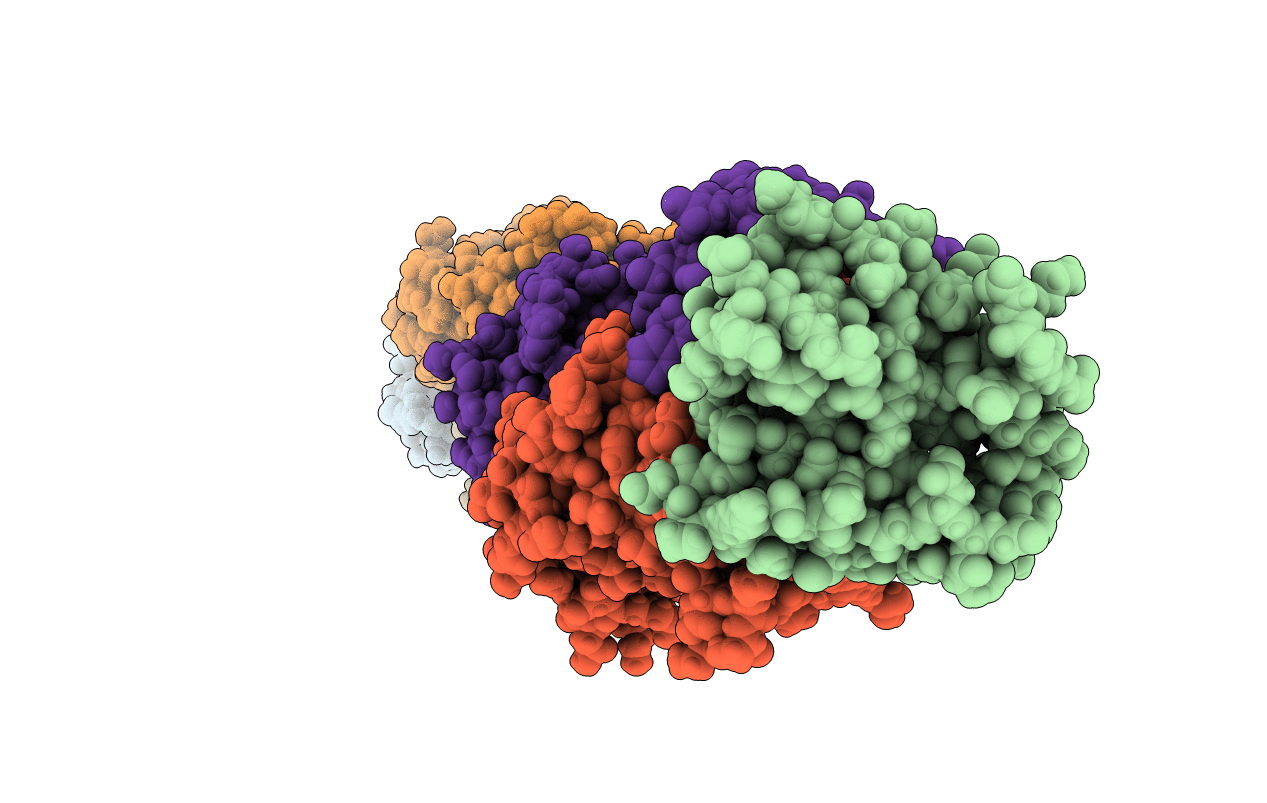 8DFG image