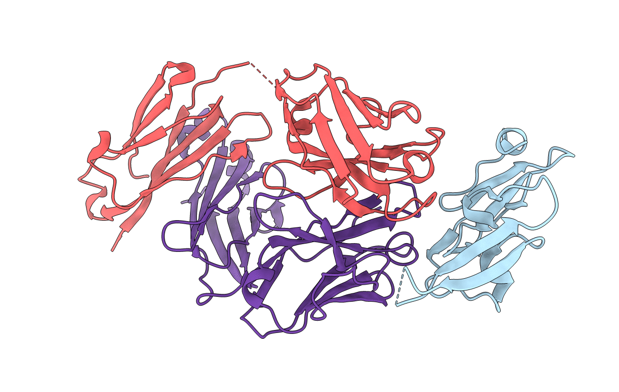 8DFI image