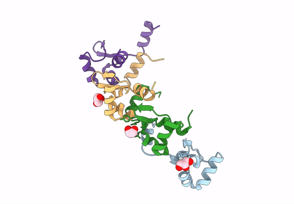 8DGL image