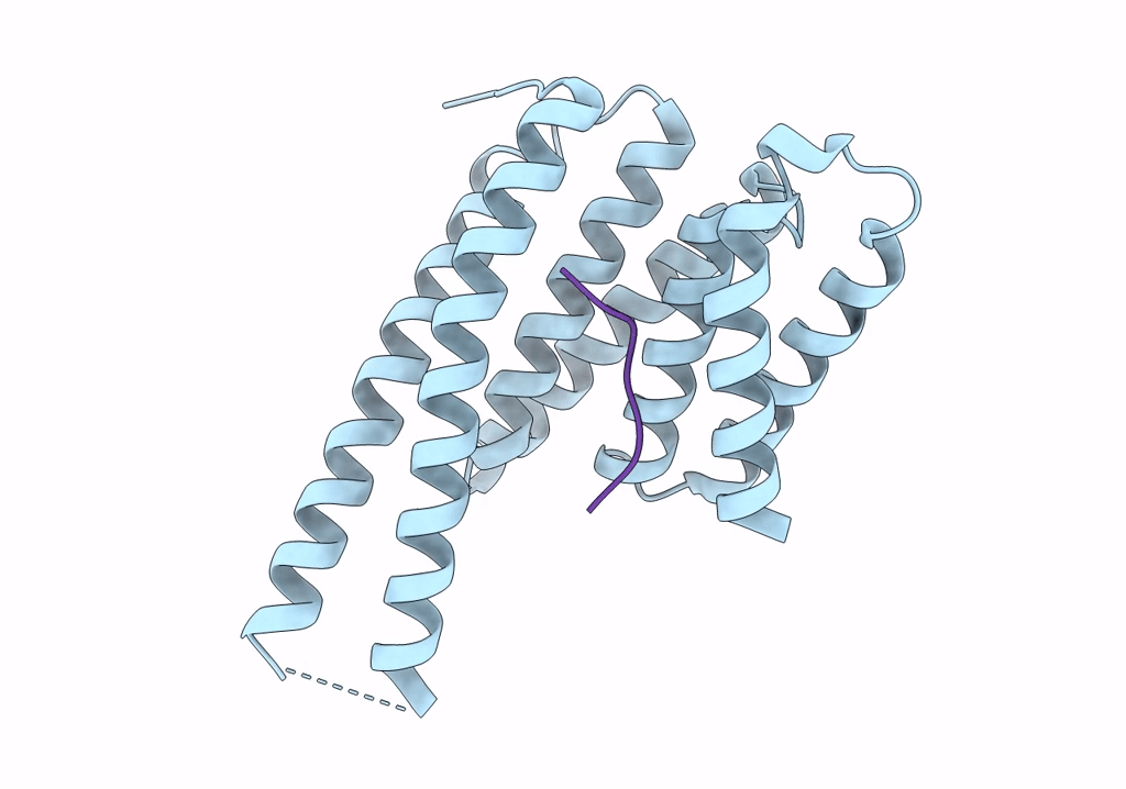 8DGN image
