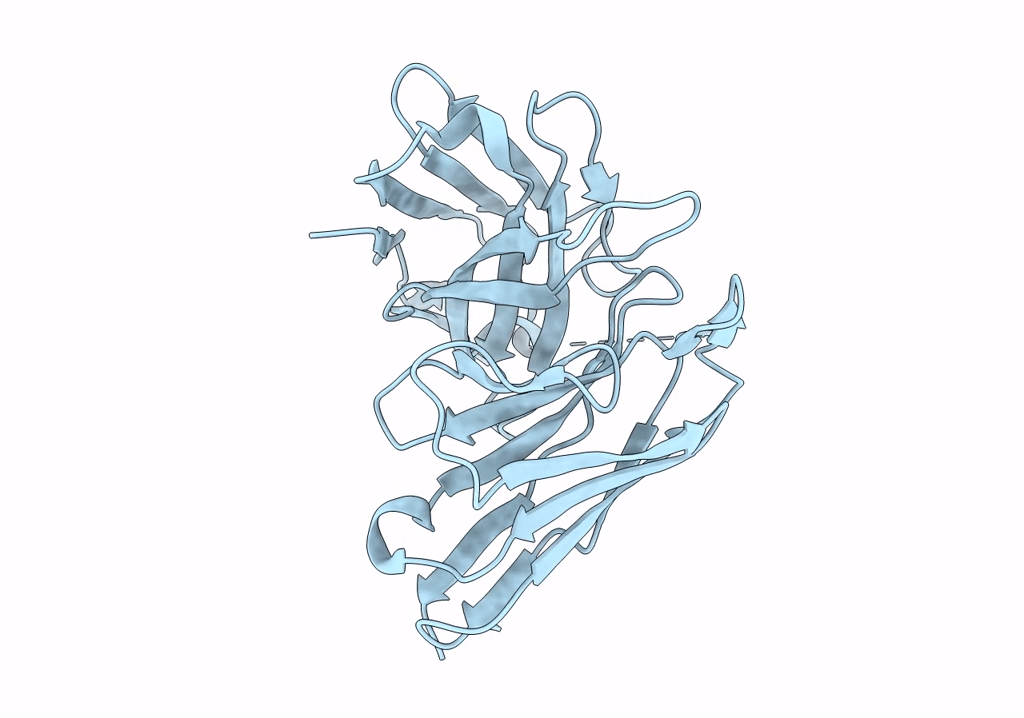 8DGR image
