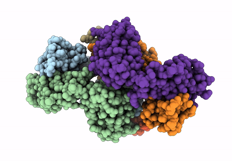 8DGX image