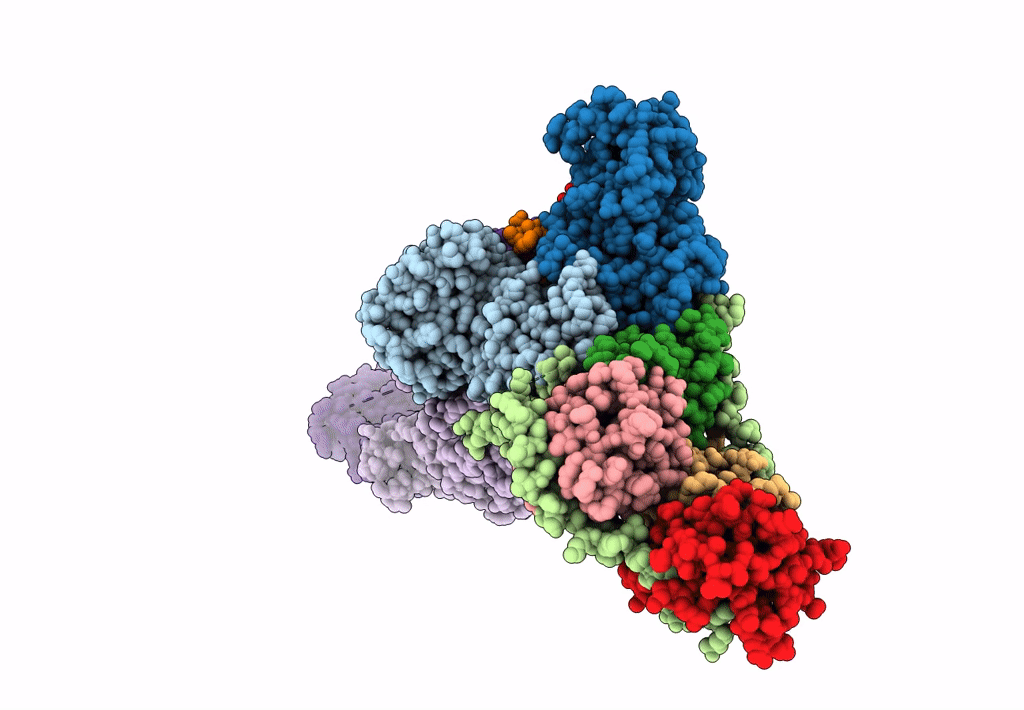 8DHB image