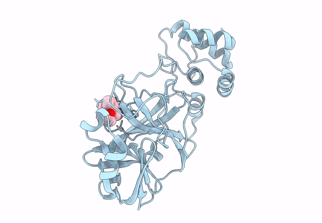 8DII image