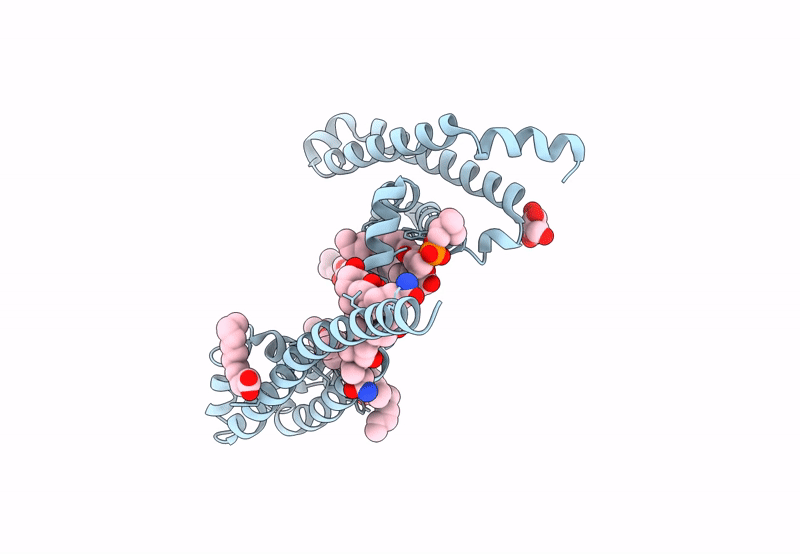 8DIV image