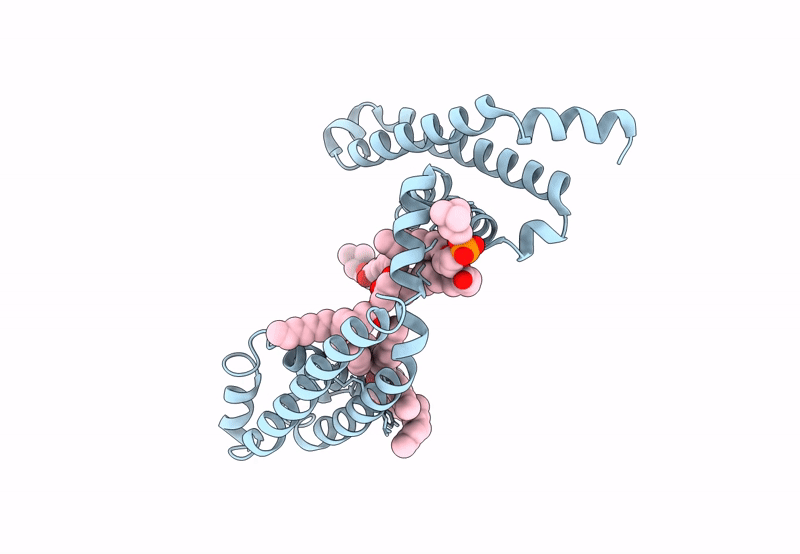 8DIX image