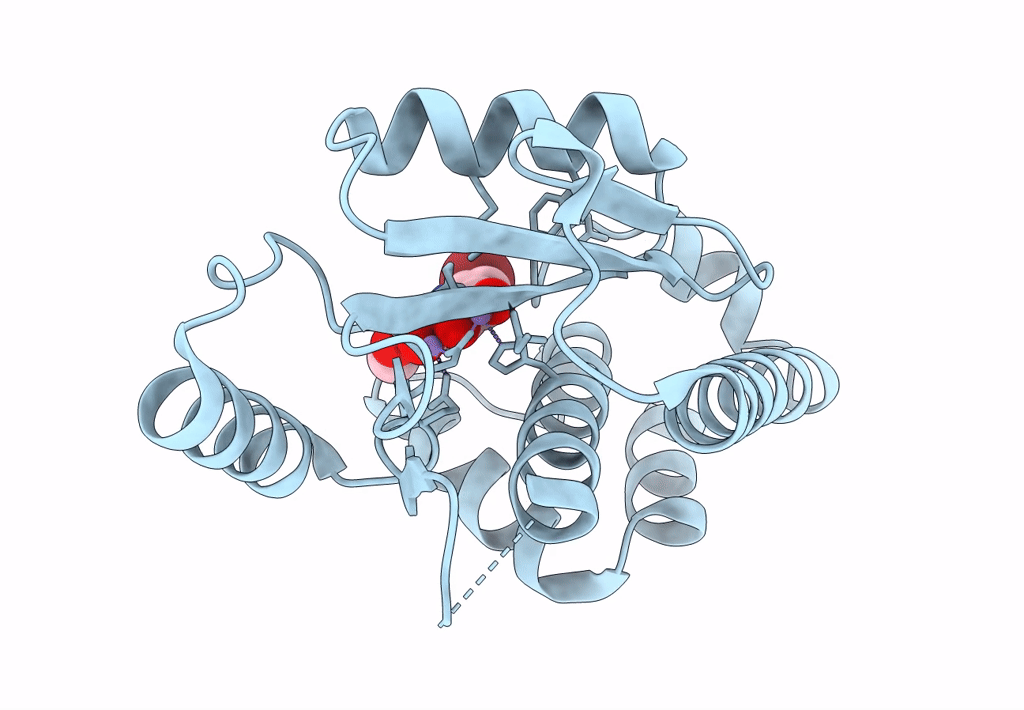 8DJV image