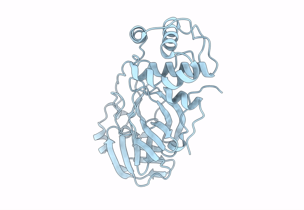 8DKH image
