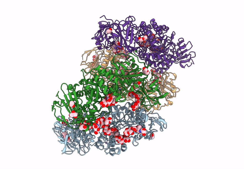 8DL2 image