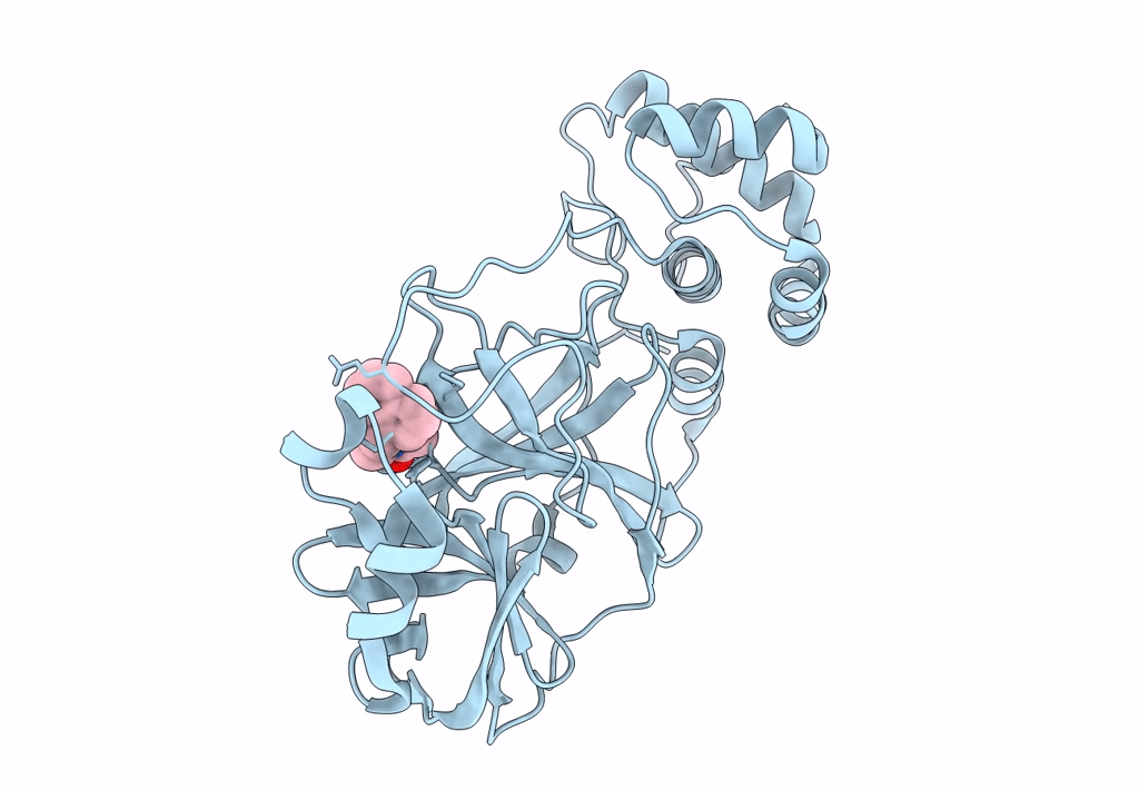 8DL9 image