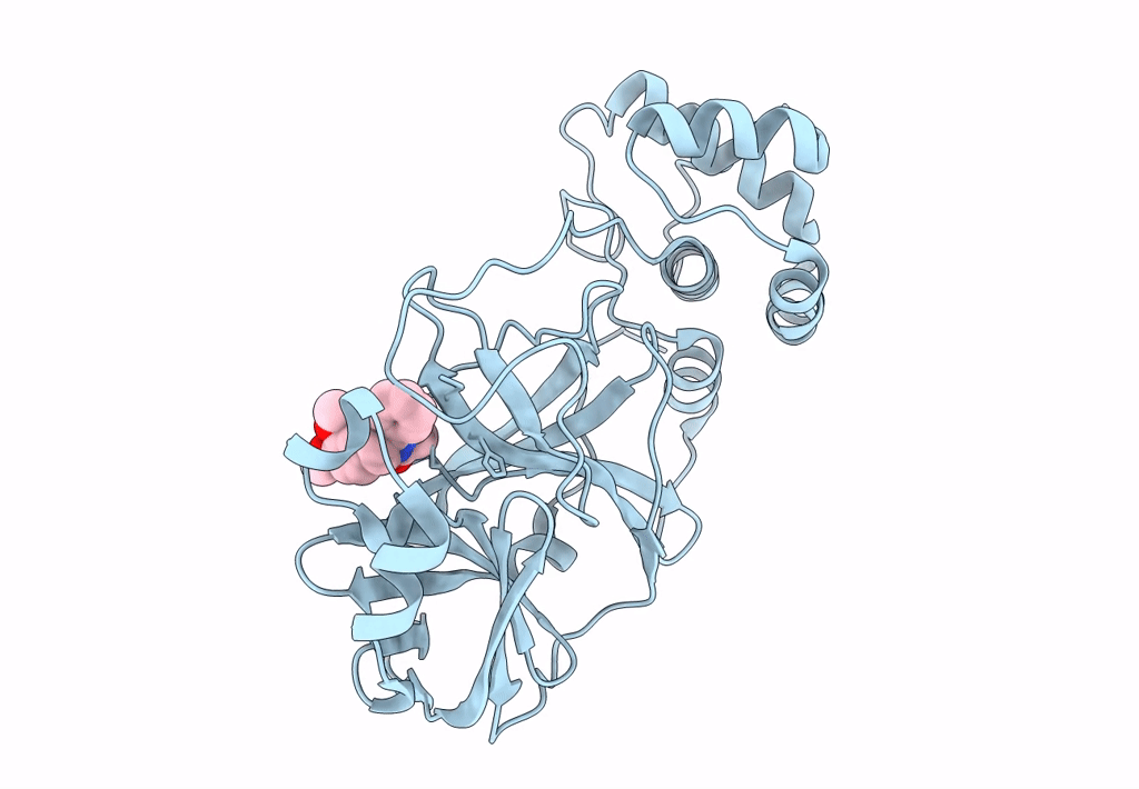 8DLB image