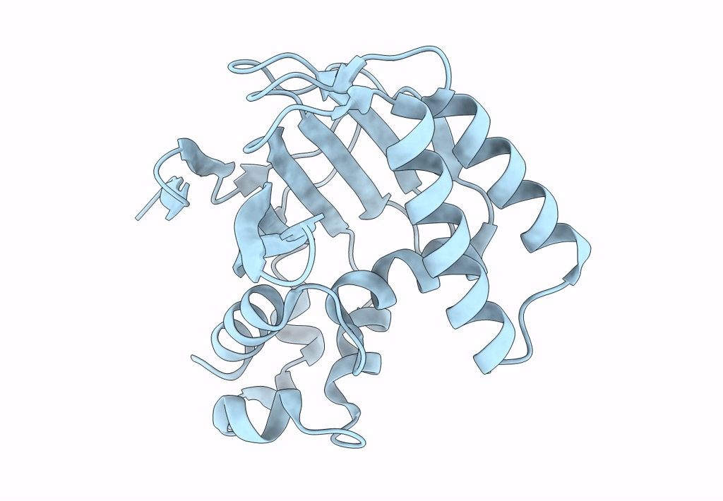 8DLD image