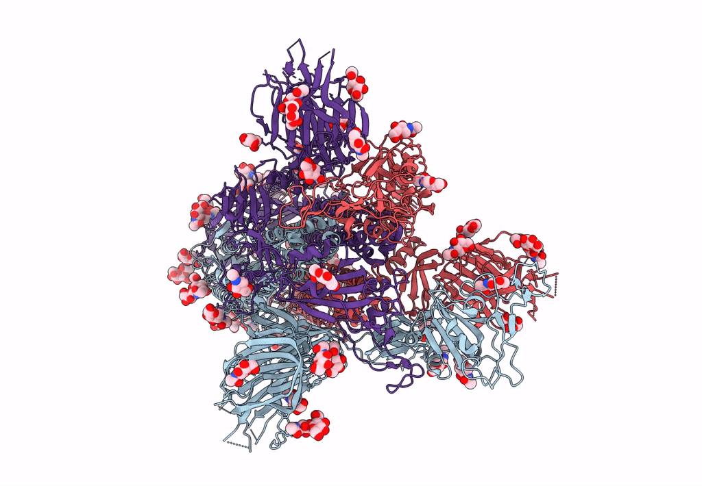 8DLI image