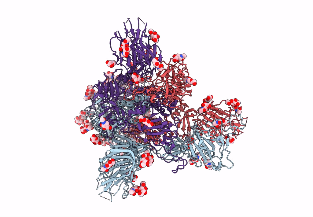 8DLO image