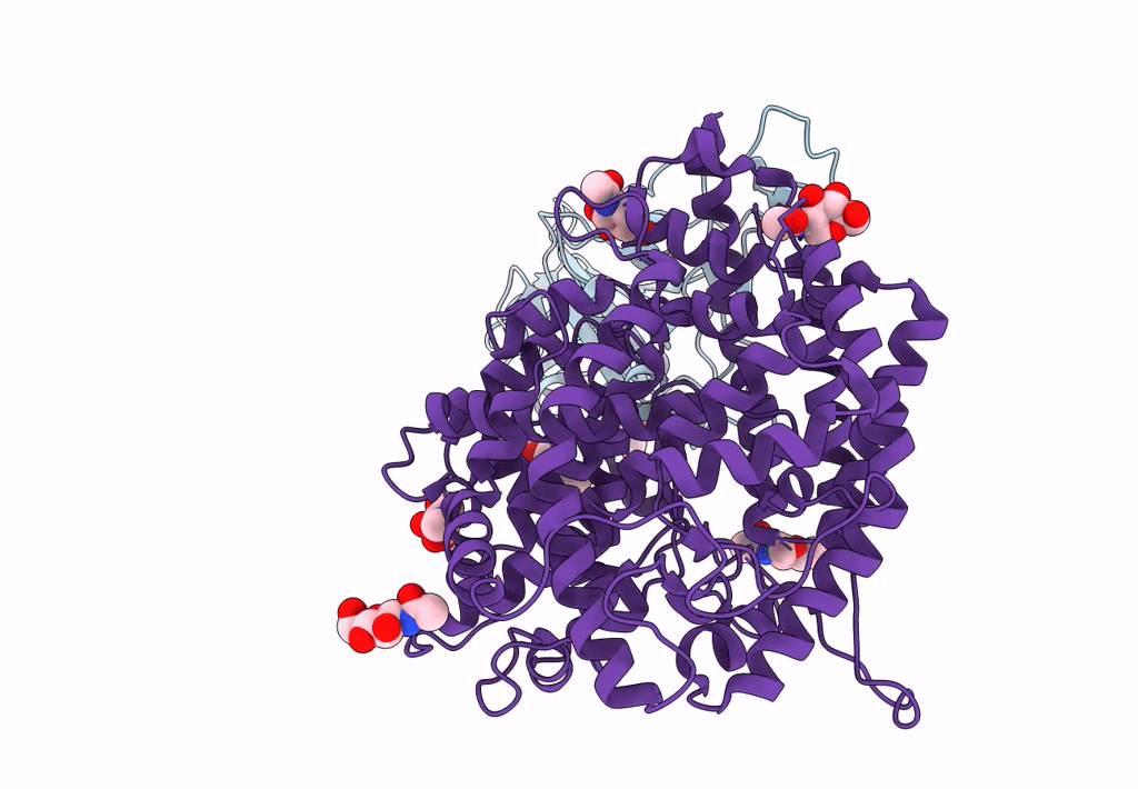 8DLV image