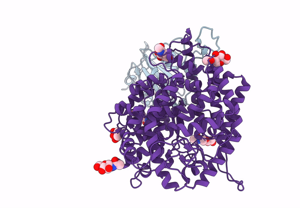 8DM6 image
