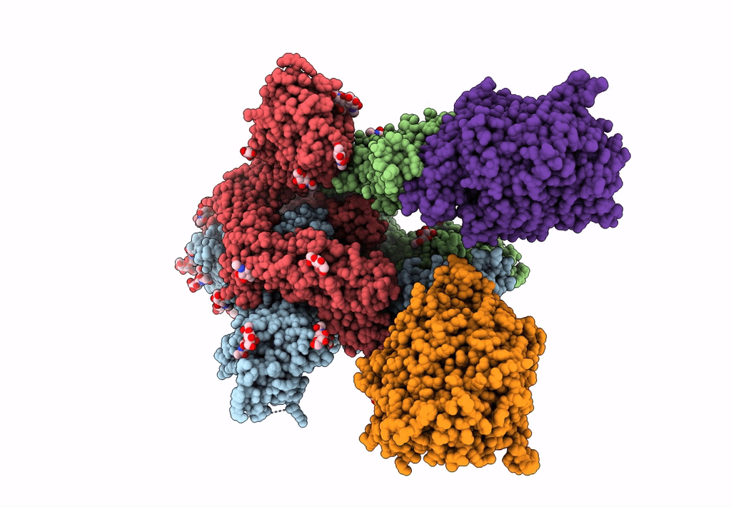 8DM7 image