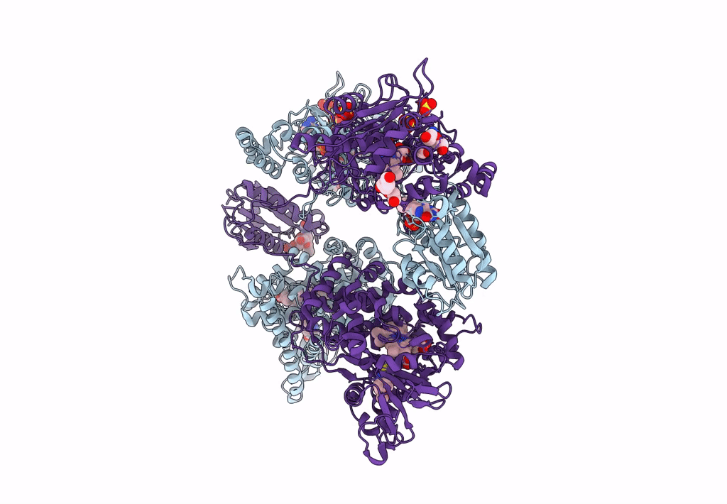 8DME image