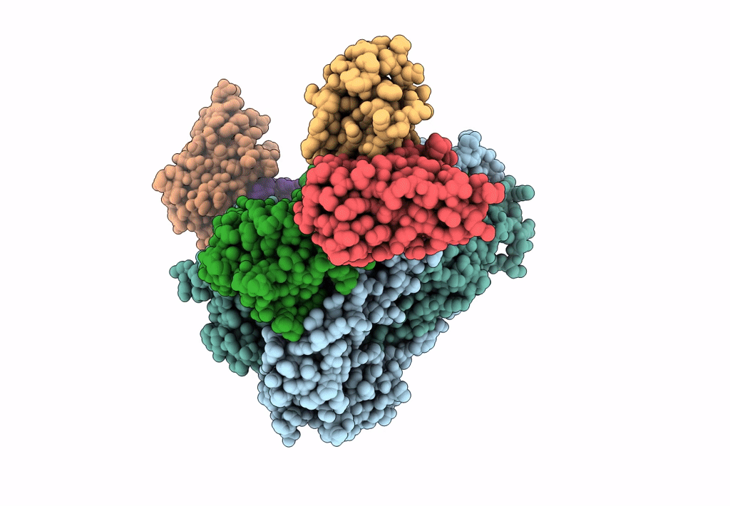 8DMJ image