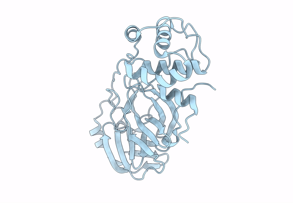 8DMN image