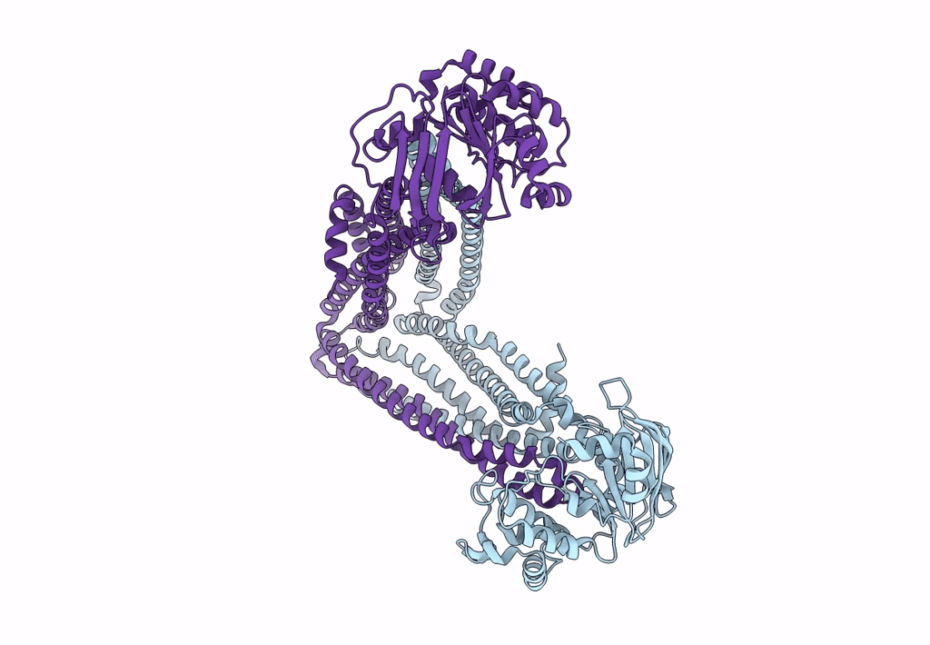 8DMO image
