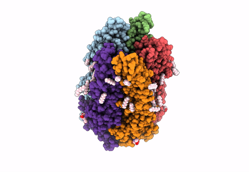 8DN2 image