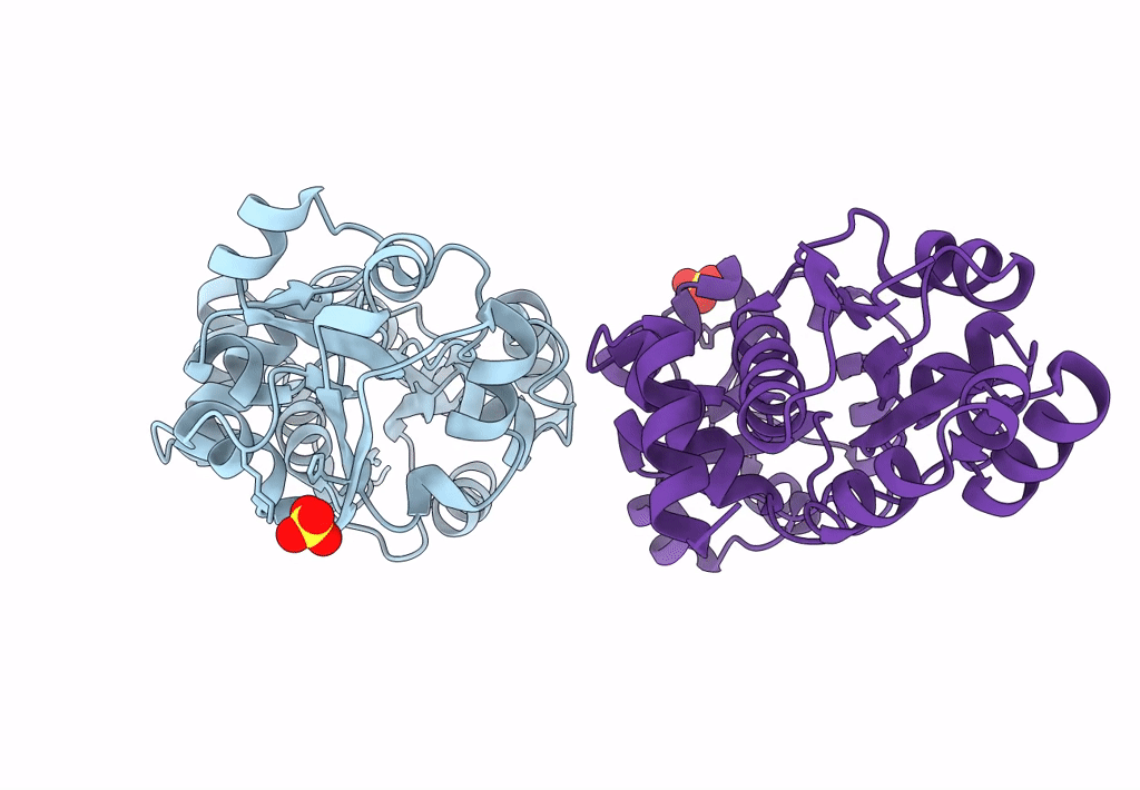 8DP6 image