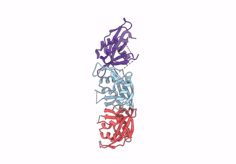 8DP8 image