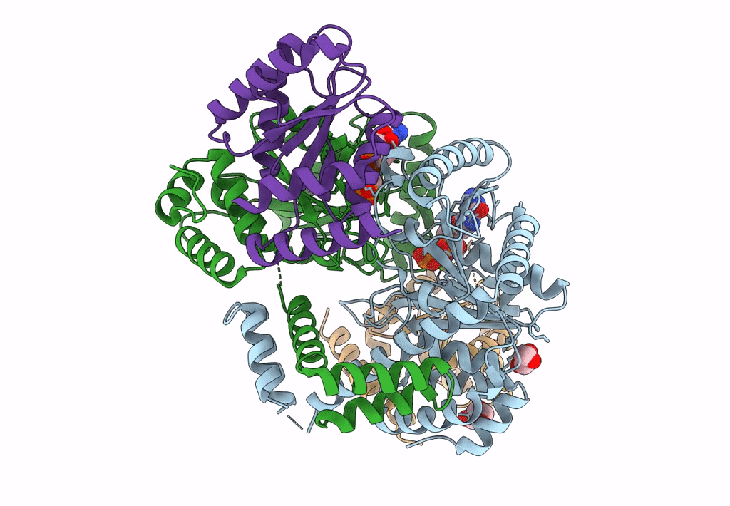 8DPB image