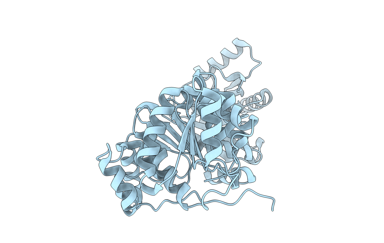 8DPE image