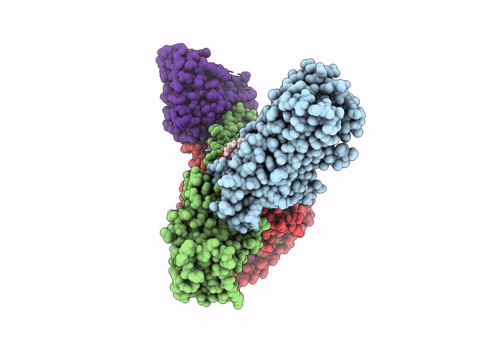 8DPG image