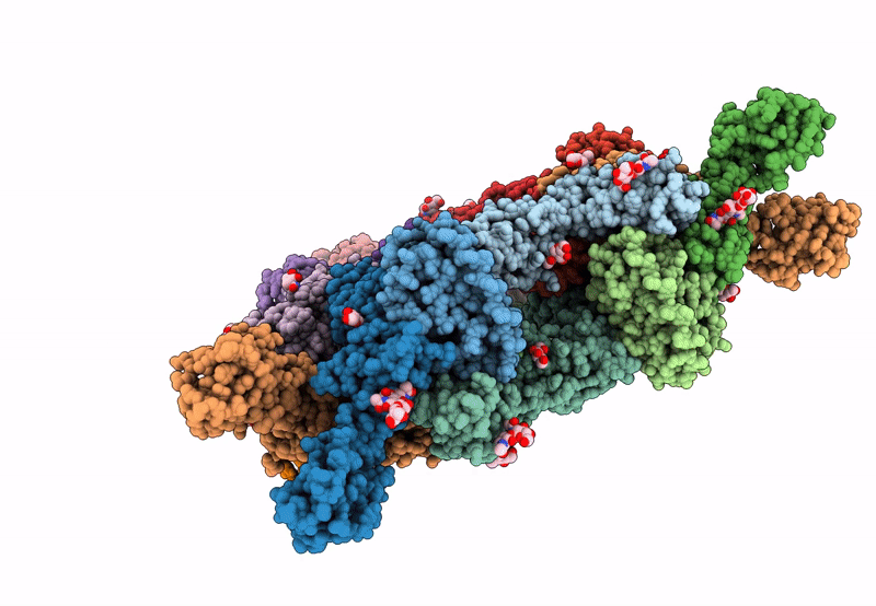 8DPU image