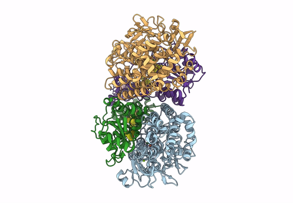 8DQV image
