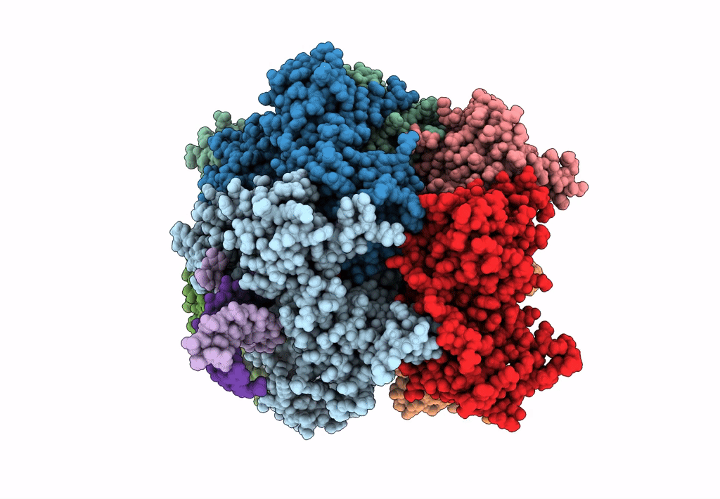 8DR4 image