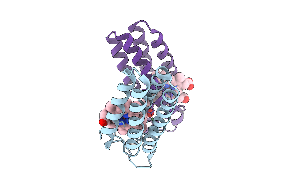 8DRD image