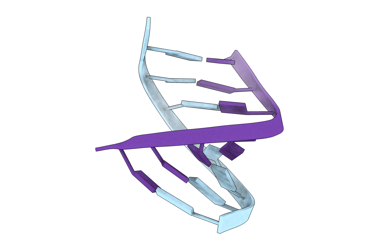 8DRH image