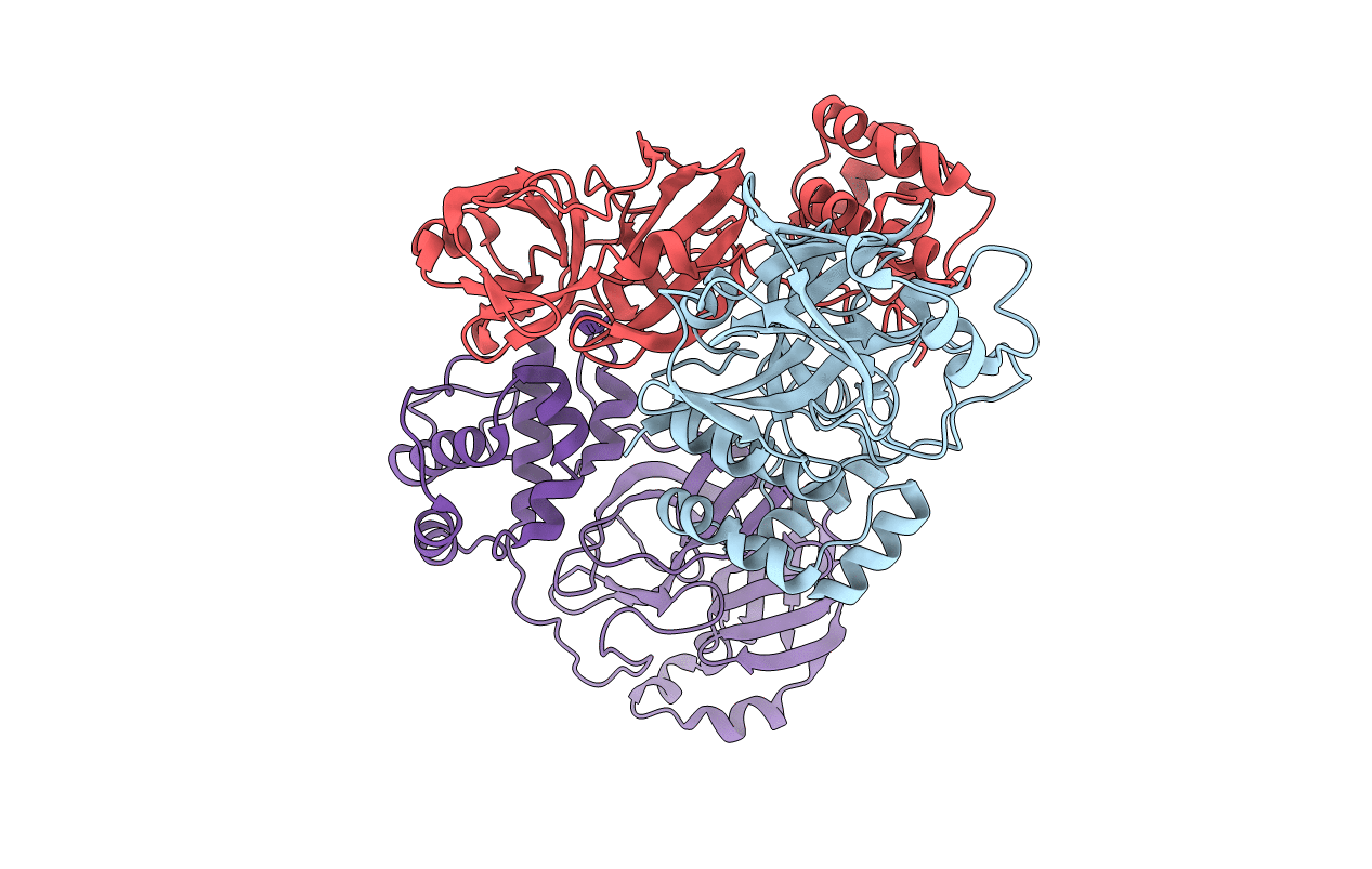 8DRS image