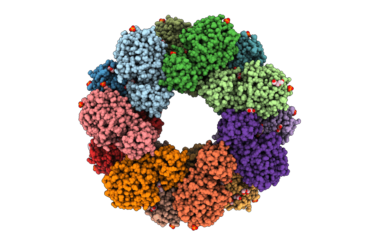 8DRW image