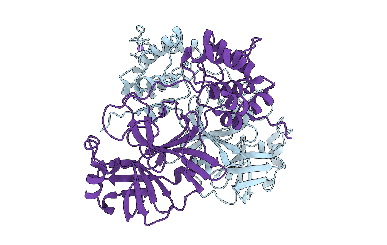 8DRX image