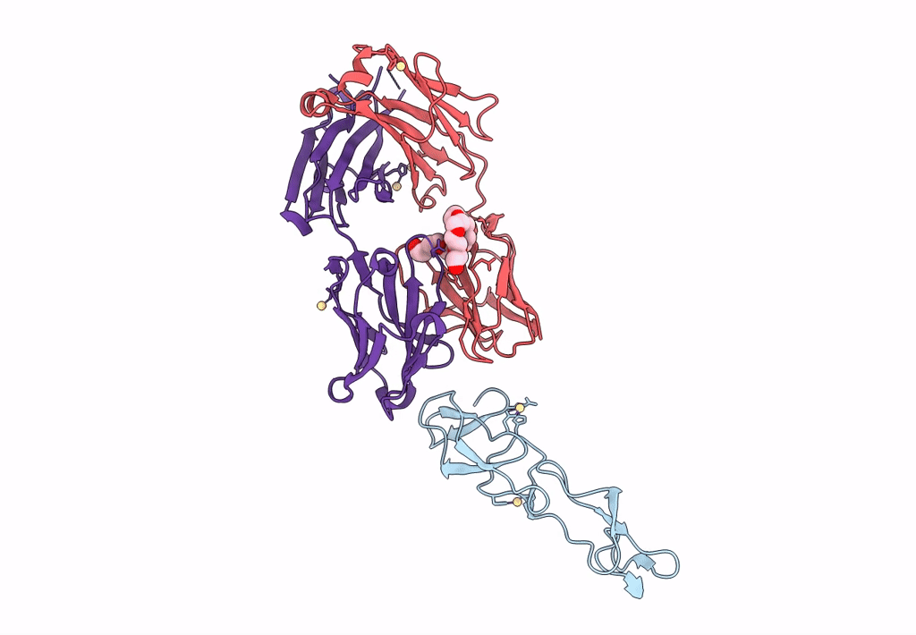 8DS5 image